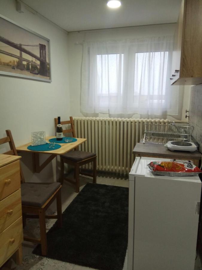Tatjanina Garsonjera Apartman Szabadka Kültér fotó